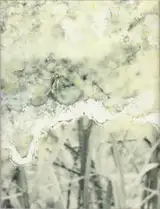 Julieta Averbuj - El juego de la madalena      