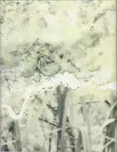 Julieta Averbuj - El juego de la madalena      