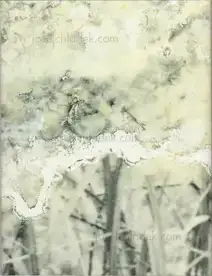 Julieta Averbuj - El juego de la madalena      