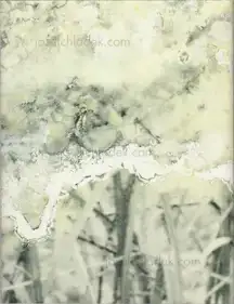 Julieta Averbuj - El juego de la madalena      