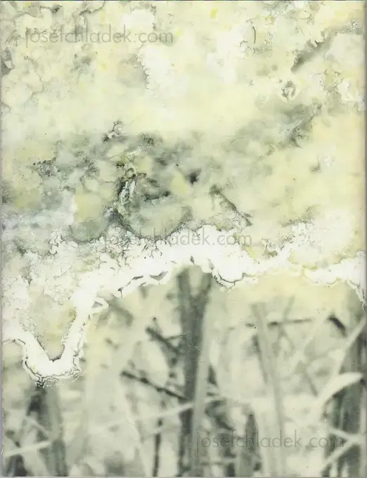 Cover of Julieta Averbuj - El juego de la madalena      