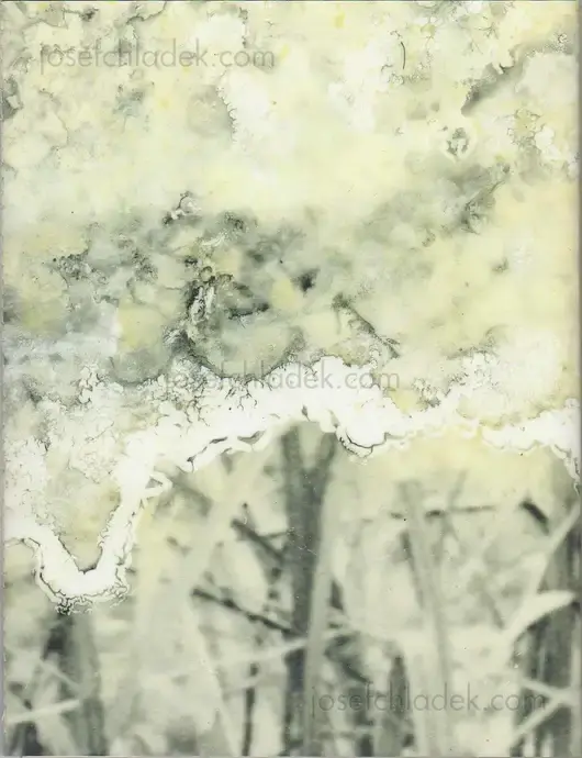 Cover of Julieta Averbuj - El juego de la madalena      