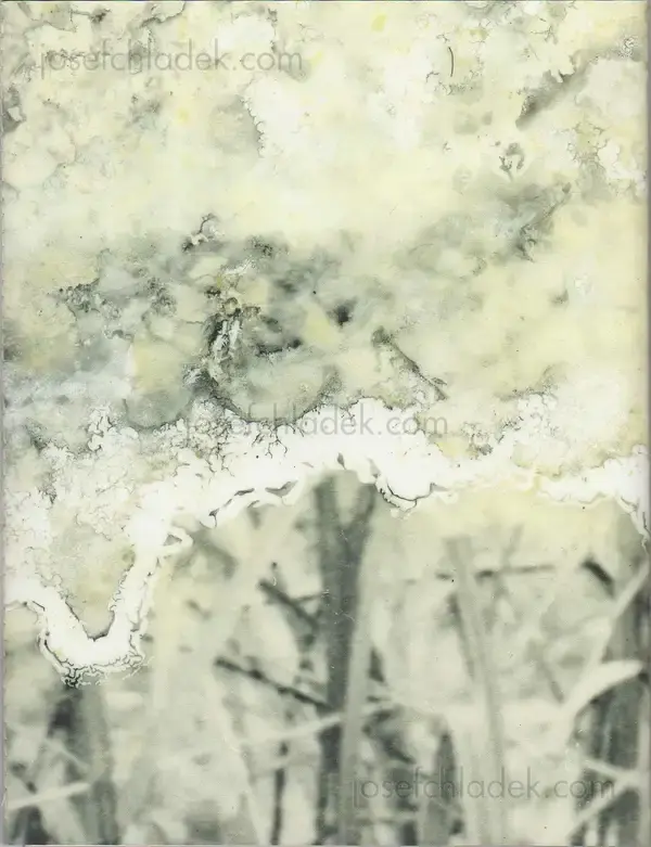 Cover of Julieta Averbuj - El juego de la madalena      