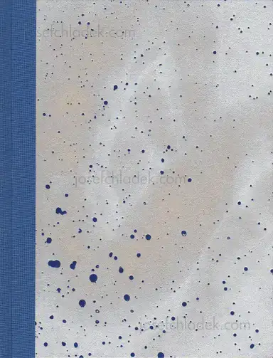 Julie van der Vaart - Blind Spot Julie van der Vaart - Blind Spot