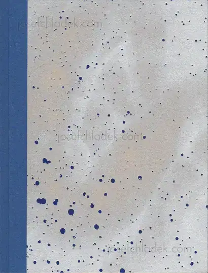 Cover of Julie van der Vaart - Blind Spot