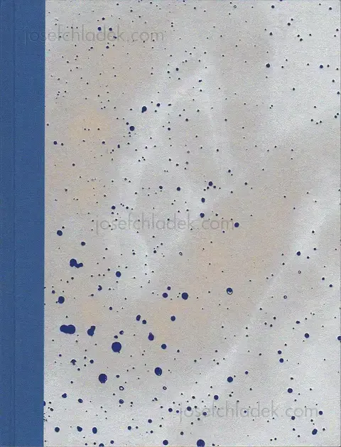 Cover of Julie van der Vaart - Blind Spot