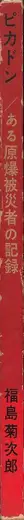 Book spine: Kikujiro Fukushima - Pikadon - Big Sudden Flash - A Report on an A-Bomb Victim (ピカドン ある原爆被災者の記録 - 福島　菊次郎)