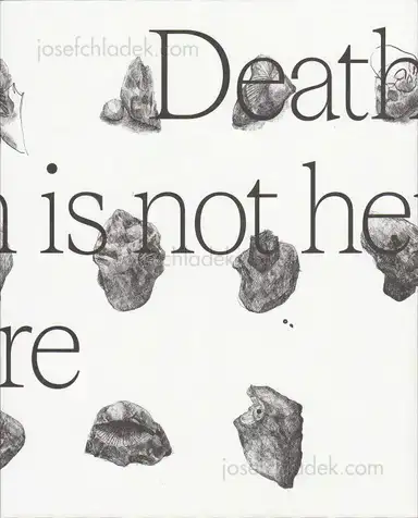 Wouter Van de Voorde - Death is not here Wouter Van de Voorde - Death is not here