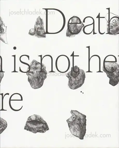 Cover of Wouter Van de Voorde - Death is not here