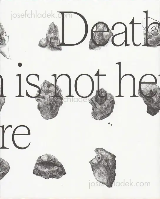 Cover of Wouter Van de Voorde - Death is not here