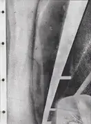 Daisuke Yokota - Sadogashima