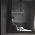 Saul Leiter - Early Black and White - I. Interior