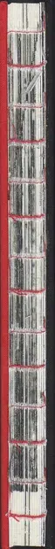 Book spine: Florian Müller - Sessions