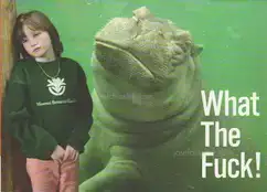 Cover of Innocences - What The Fuck!