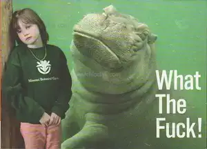 Cover of Innocences - What The Fuck!