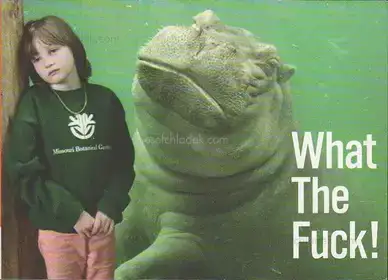 Innocences - What The Fuck!