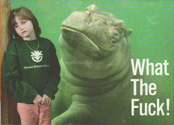 Cover of Innocences - What The Fuck!