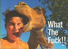 Cover of Innocences - What The Fuck!!