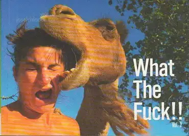 Cover of Innocences - What The Fuck!!