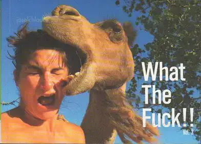 Innocences - What The Fuck!!