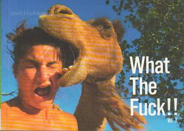 Cover of Innocences - What The Fuck!!