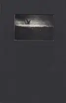 Ilias Georgiadis - Forecast