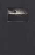 Ilias Georgiadis - Forecast