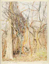 Regina Anzenberger - Roots & Waltz