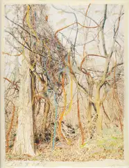 Regina Anzenberger - Roots & Waltz