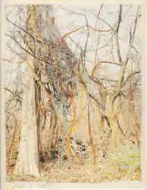 Regina Anzenberger - Roots & Waltz