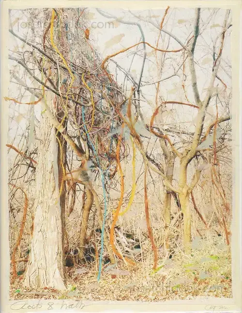 Cover of Regina Anzenberger - Roots & Waltz