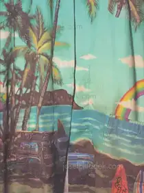 Samuel Otte - Hereafter Called: ‘Subject’