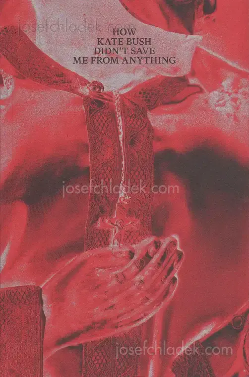 Cover of Christos Sotiropoulos - How Kate Bush didn’t save me from anything