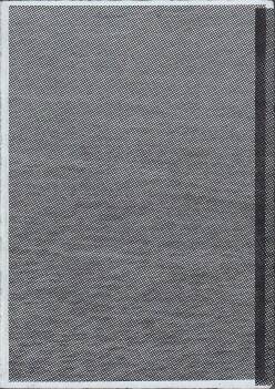  Stephan Keppel Reprinting the City