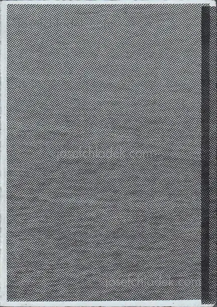 Cover of Stephan Keppel - Reprinting the City