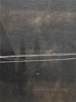 Giulia Šlapková Seeing Vyšehrad