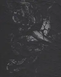 Elena Helfrecht - Plexus