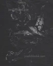 Elena Helfrecht - Plexus