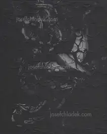 Elena Helfrecht - Plexus