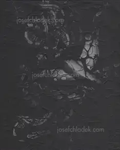 Cover of Elena Helfrecht - Plexus