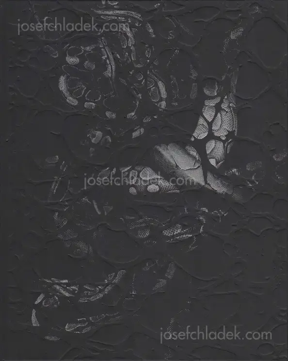 Cover of Elena Helfrecht - Plexus