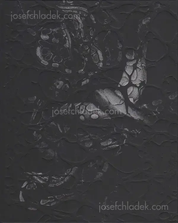 Cover of Elena Helfrecht - Plexus