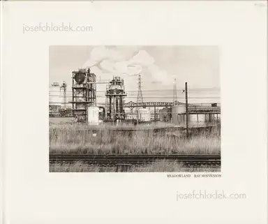 Ray Mortenson - Meadowland Ray Mortenson - Meadowland