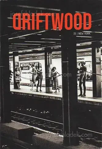 Cover of Christian Reister - Driftwood 15 | New York