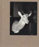 Sebastián Bruno - Duelos y Quebrantos