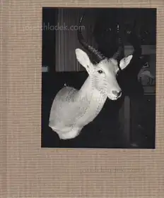 Sebastián Bruno - Duelos y Quebrantos