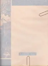 Cover of Federico Renzaglia - Bonifica