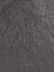 Sergio Castañeira - Limbo