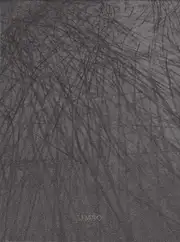 Sergio Castañeira - Limbo