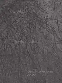 Sergio Castañeira - Limbo